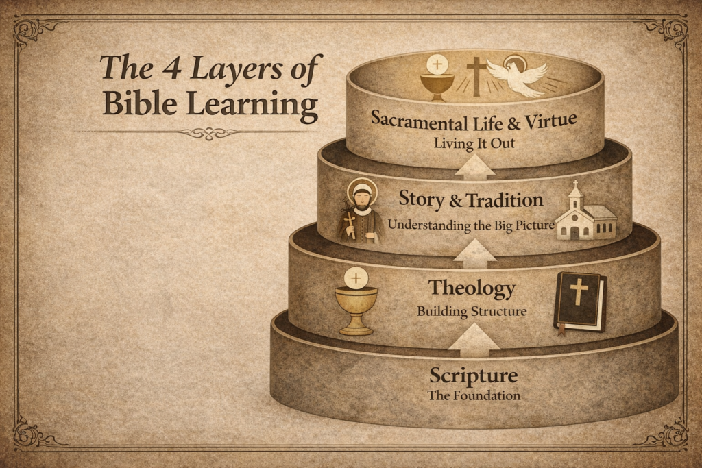 A visual guide showing the four layers of biblical learning for Catholics: Scripture, Theology, Story & Tradition, and Sacramental Life & Virtue